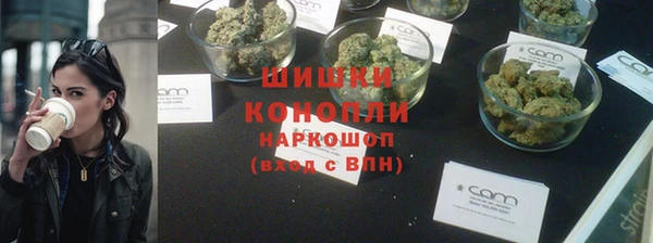 мдпв Дмитриев