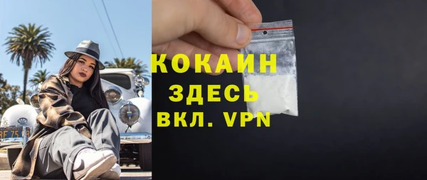 стаф Дмитров