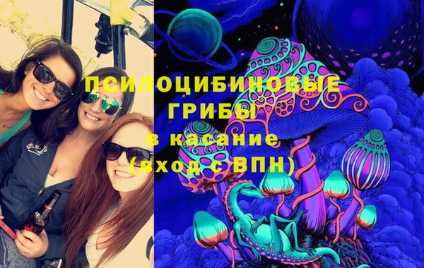 spice Дмитровск