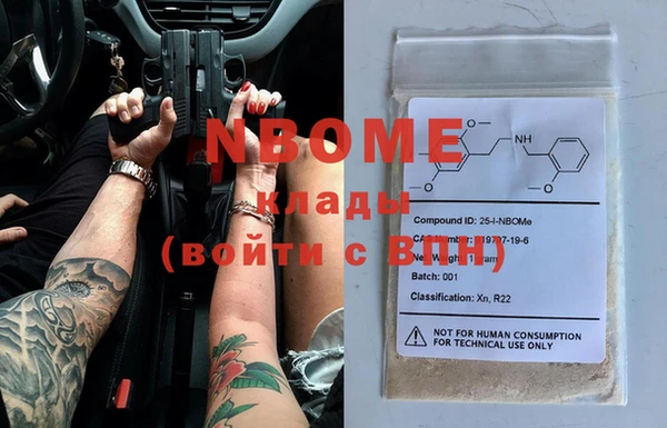 стаф Дмитров